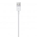 Przewód Apple Lightning na USB 0.5m - zdjęcie
