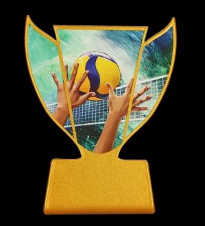 Trofeum metalowe - Siatkówka - zdjęcie główne