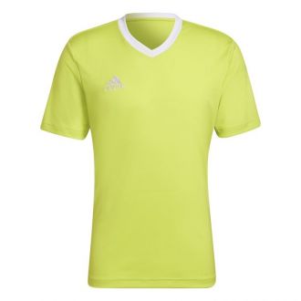 Koszulka męska adidas Entrada 22 Jersey jasno-zielona - zdjęcie główne