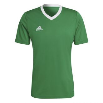 Koszulka męska adidas Entrada 22 Jersey zielona - zdjęcie główne