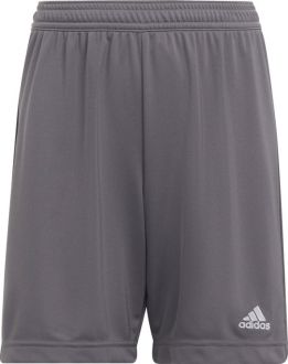 Spodenki dla dzieci adidas Entrada 22 szare - zdjęcie główne