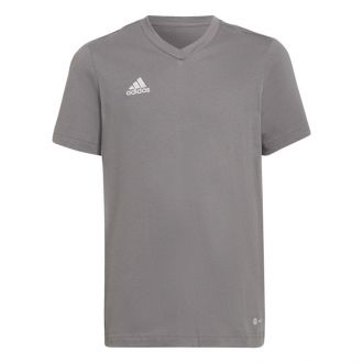 Koszulka sportowa męska adidas TEE szara bawełniana - zdjęcie główne