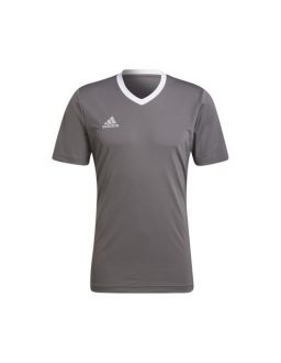 Koszulka męska adidas Entrada 22 Jersey szara - zdjęcie główne