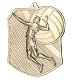 Medal metalowy srebrny SIATKÓWKA MD8047