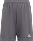 Spodenki dla dzieci adidas Entrada 22 szare
