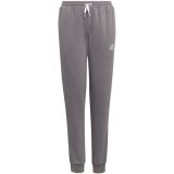 Spodnie dla dzieci adidas Entrada 22 Sweat Pants szare H57519