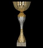 Puchar metalowy złoto-srebrny H-30cm, R-120mm 9266C