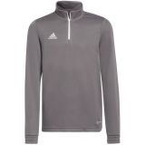 Bluza dla dzieci adidas Entrada 22 Training Top szara H57549