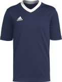 Koszulka dla dzieci adidas Entrada 22 Jersey grantowa
